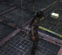 《古墓麗影9》隱藏關淚之井攻略