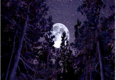 《漫漫長夜》曝首批截圖 在安靜中探尋生存路