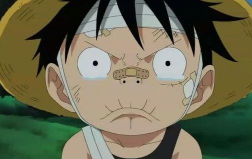 《海賊王：偉大航路》大BOSS 藤虎白胡子萌萌噠