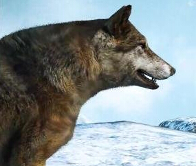 《孤島驚魂4》中文預(yù)告篇片 PC配置依然未公布