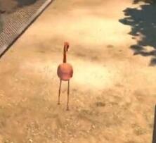 《模擬山羊》視頻解說：全世界都是碰瓷王！