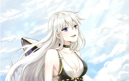 《碧藍(lán)航線》企業(yè)泳裝介紹