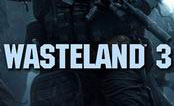 廢土3 中文版