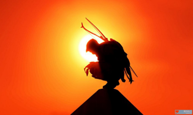 《刺客信條：起源》1.1.0版本更新內(nèi)容介紹