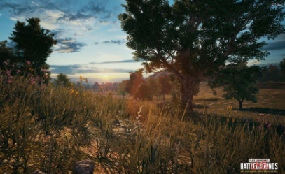 《絕地求生：大逃殺》正式版步槍彈道圖鑒