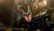 《怪物獵人4》重弩對(duì)蛇王怎么打