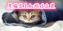 養貓類型的手機游戲合集