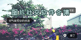 圖片社交軟件合集