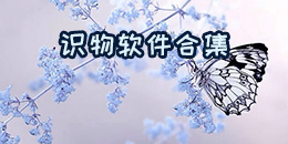 識物軟件合集