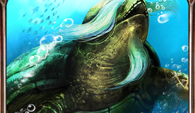 《影之詩》巨龜長老卡牌圖鑒