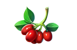 《QQ飛車》手游重陽節活動大全