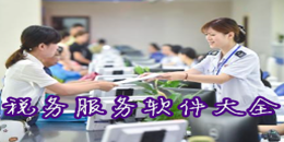 稅務(wù)服務(wù)軟件大全