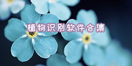 植物識別軟件合集