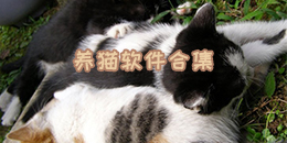 養貓軟件合集