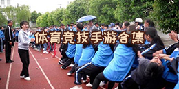 體育競技手游合集