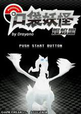 口袋妖怪:爆焰黑