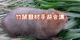 竹鼠題材手游合集