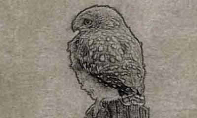 《荒島求生》金雕獲得方法介紹