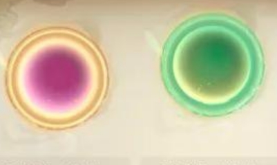 《云夢(mèng)四時(shí)歌》物華作用詳解