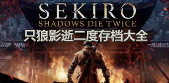 只狼影逝二度存檔大全