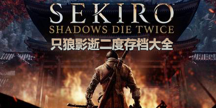 只狼影逝二度存檔大全