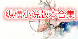 縱橫小說版本合集