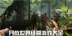 開放世界經營游戲大全