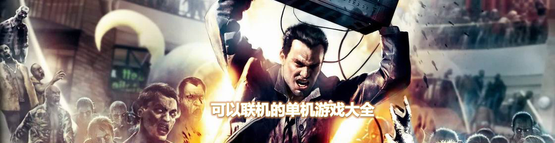 可以聯(lián)機(jī)的單機(jī)游戲大全