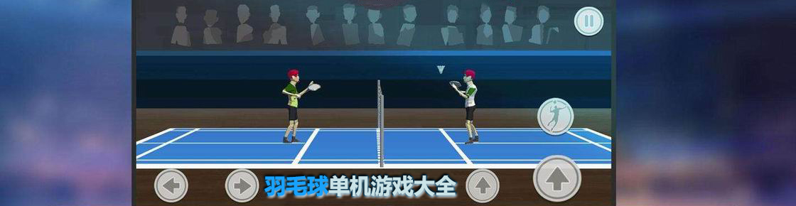 羽毛球單機(jī)游戲大全