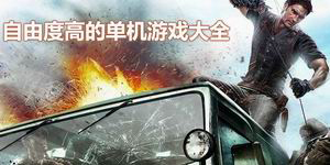 自由度高的單機游戲