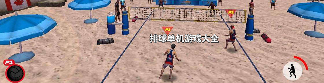 排球單機(jī)游戲大全