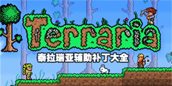 泰拉瑞亞輔助補丁大全
