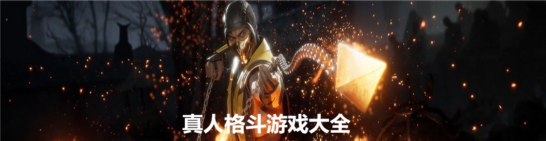 真人格斗游戲大全