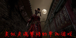 類似靈魂籌碼的單機游戲