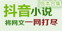 抖音小說版本合集