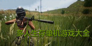 多人生存單機游戲大全