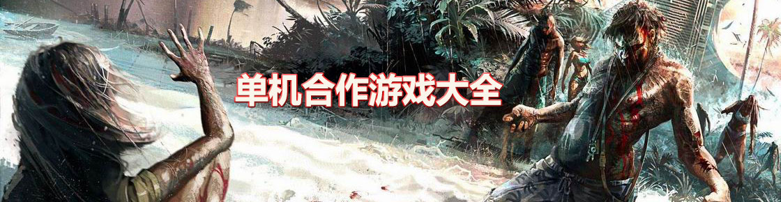 單機合作游戲大全