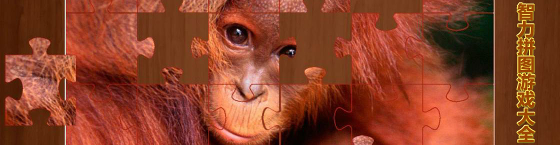 智力拼圖游戲大全
