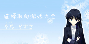 選擇取向游戲大全