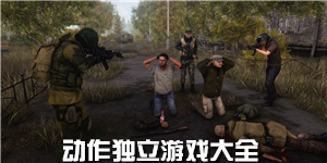 動作獨立游戲大全