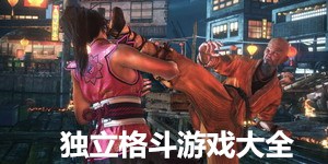 獨立格斗游戲大全