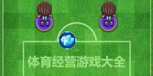 體育經營游戲大全