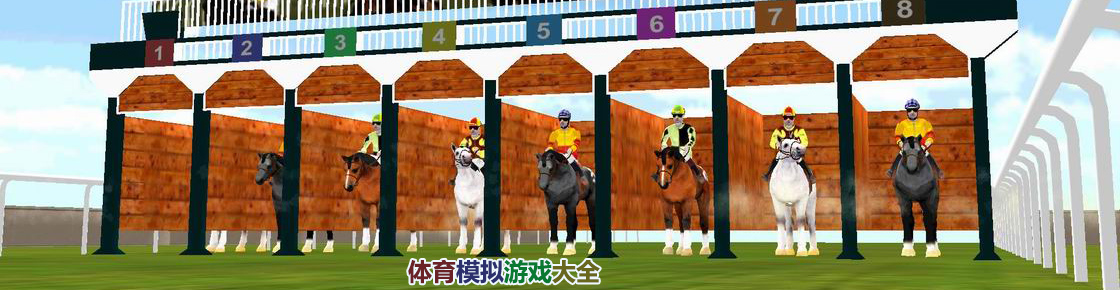 體育模擬游戲大全