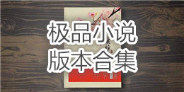 極品小說版本合集