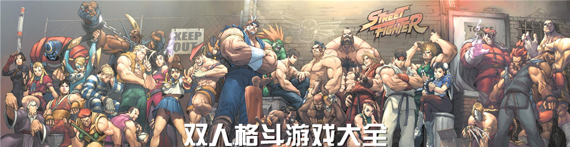 雙人格斗游戲大全