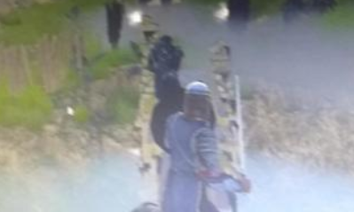 《刺客信條：諸神黃昏》新作內容一覽