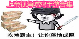 上帝視角吃雞手游合集