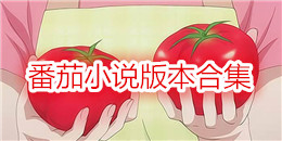 番茄小說(shuō)版本合集