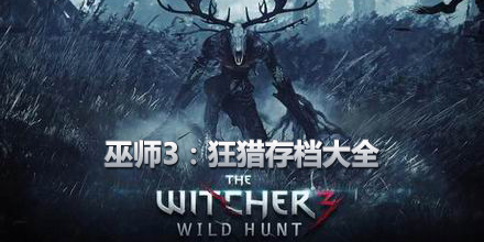 巫師3：狂獵存檔大全