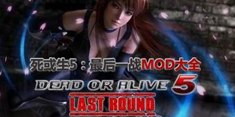 死或生5：最后一戰(zhàn)MOD大全